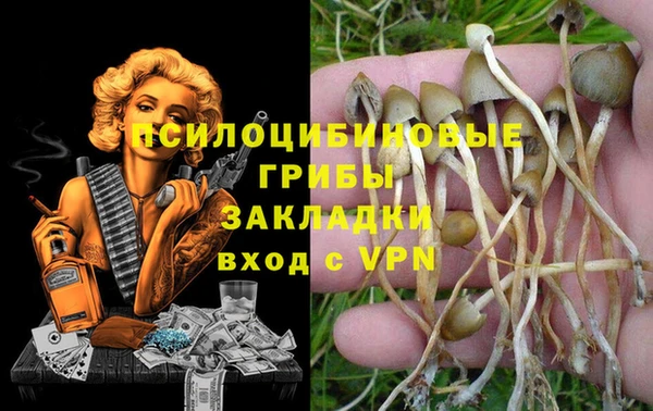 Альфа ПВП Алексин