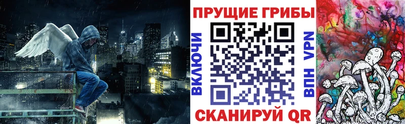 Галлюциногенные грибы Magic Shrooms Шадринск